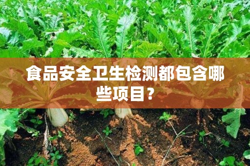 食品安全檢測哪些項(xiàng)目tools.gdzsdc.cn