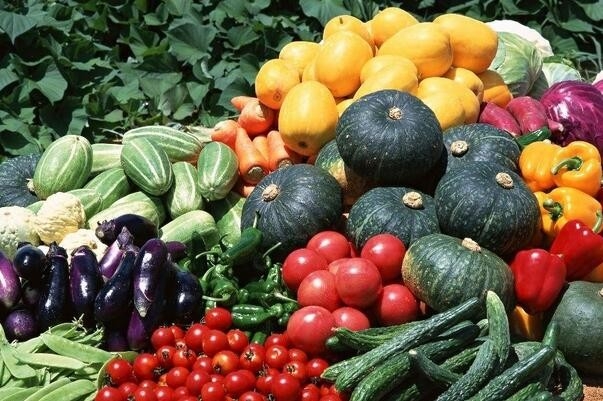 快速檢測出蔬菜、水果、糧食、茶葉以及土壤中有機(jī)磷和氨基甲酸酯農(nóng)藥殘毒
