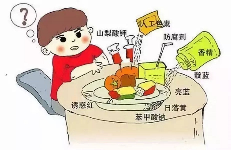 食品添加劑是構成現(xiàn)代食品工業(yè)的重要因素